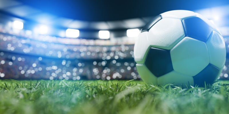 Phân loại lịch thi đấu phổ biến tại Tỷ lệ cá cược